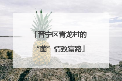 晋宁区青龙村的“菌”情致富路
